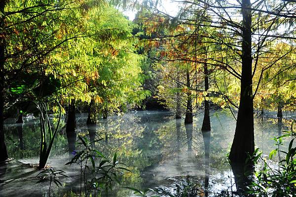 DSC_0522.jpg DSC_0522.jpg