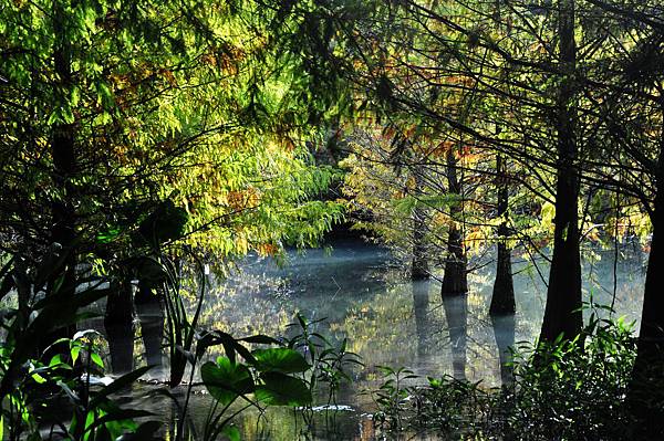 DSC_0535.jpg DSC_0535.jpg