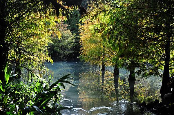 DSC_0537.jpg DSC_0537.jpg