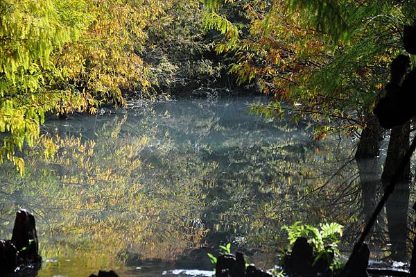 DSC_0541.jpg DSC_0541.jpg