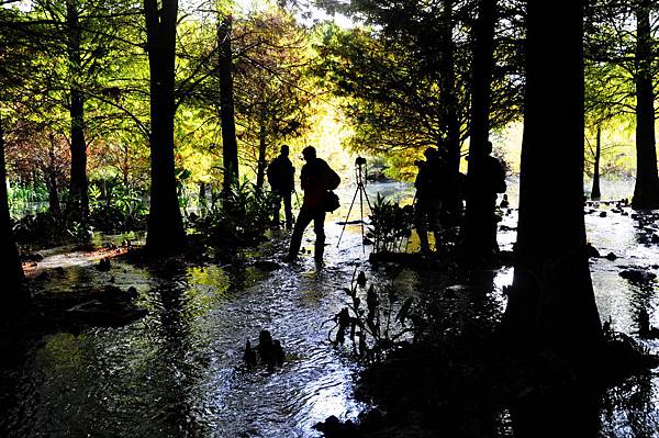 DSC_0547.jpg DSC_0547.jpg