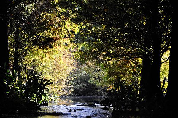 DSC_0566.jpg DSC_0566.jpg