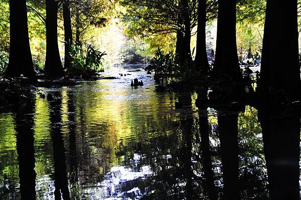 DSC_0576.jpg DSC_0576.jpg