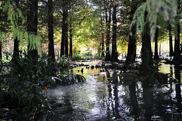 DSC_0578.jpg DSC_0578.jpg