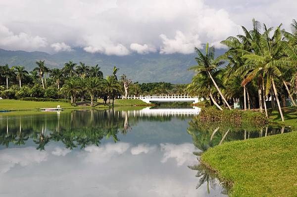 DSC_0594.jpg DSC_0594.jpg