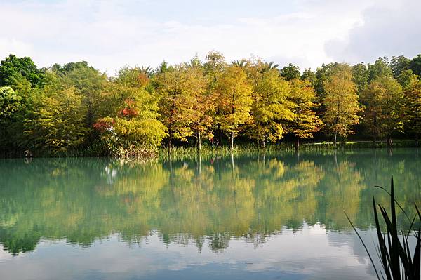 DSC_0603.jpg DSC_0603.jpg