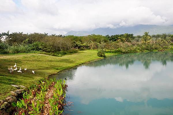 DSC_0615.jpg DSC_0615.jpg