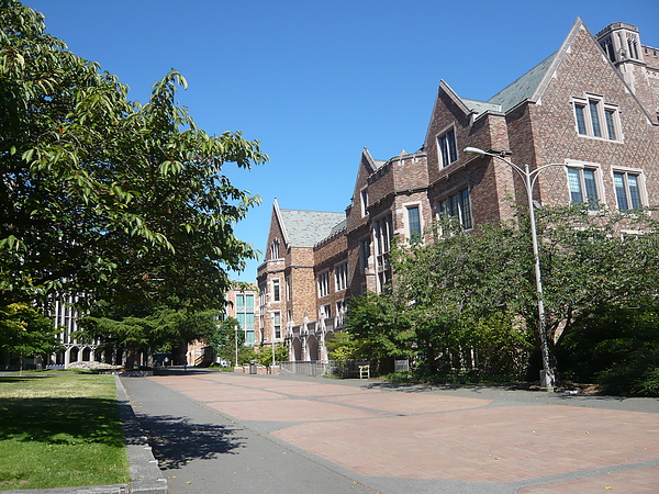 P1130885.JPG P1130885.JPG