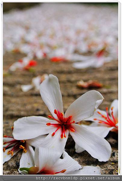 DSC_7635.jpg DSC_7635.jpg