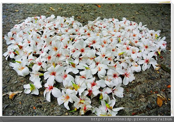 DSC_7647.jpg DSC_7647.jpg