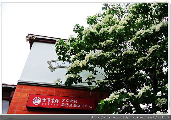 DSC_7662.jpg DSC_7662.jpg