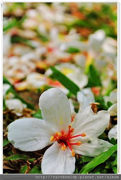 DSC_7678.jpg DSC_7678.jpg