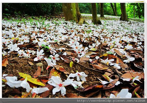 DSC_7692.jpg DSC_7692.jpg