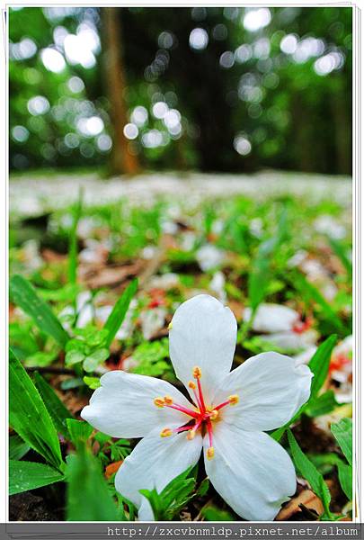 DSC_7696.jpg DSC_7696.jpg