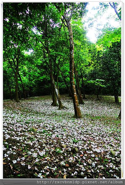 DSC_7701.jpg DSC_7701.jpg