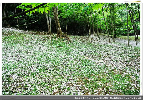 DSC_7704.jpg DSC_7704.jpg