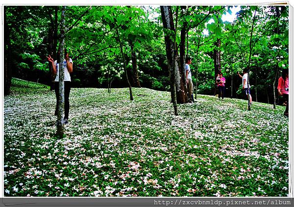 DSC_7710.jpg DSC_7710.jpg