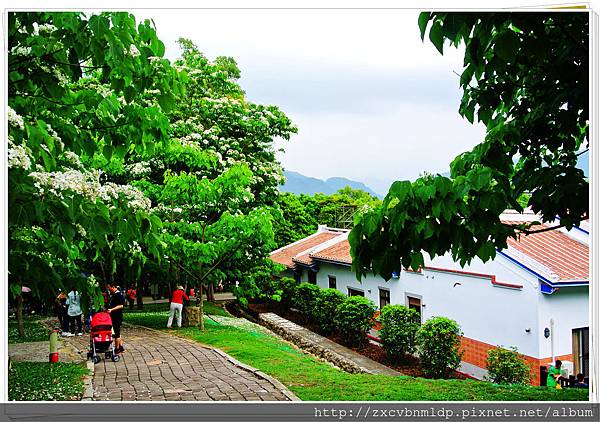 DSC_7727.jpg DSC_7727.jpg