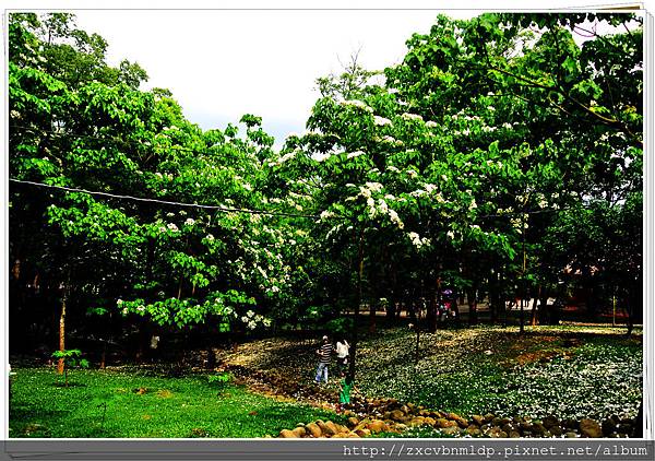 DSC_7731.jpg DSC_7731.jpg