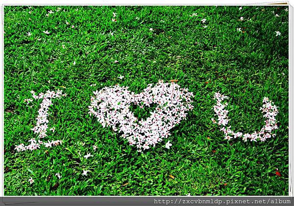 DSC_7740.jpg DSC_7740.jpg