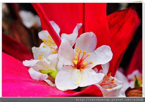 DSC_7746.jpg DSC_7746.jpg