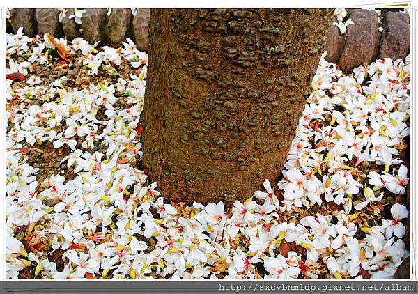 DSC_7749.jpg DSC_7749.jpg