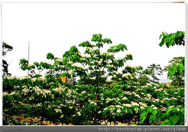 DSC_7753.jpg DSC_7753.jpg