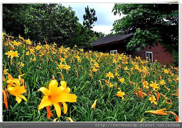 DSC_7864.jpg DSC_7864.jpg