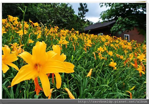 DSC_7865.jpg DSC_7865.jpg