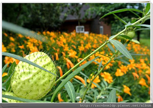 DSC_7870.jpg DSC_7870.jpg