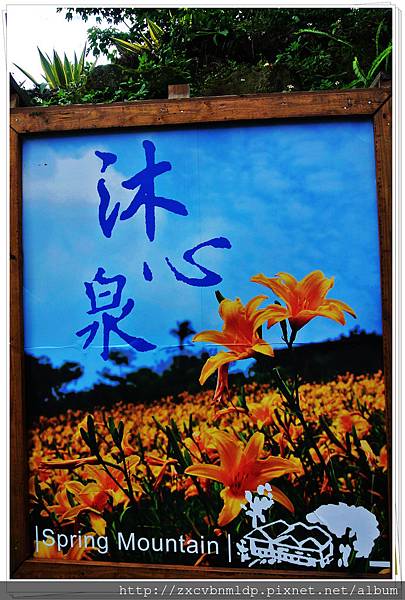 DSC_7874.jpg DSC_7874.jpg