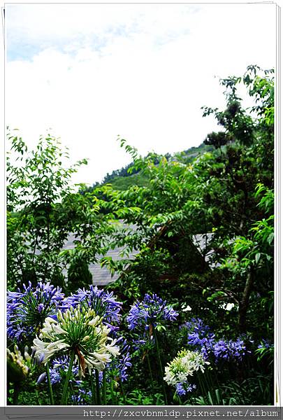 DSC_7875.jpg DSC_7875.jpg