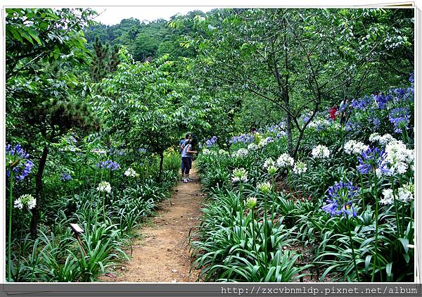 DSC_7876.jpg DSC_7876.jpg