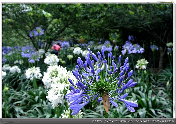 DSC_7878.jpg DSC_7878.jpg