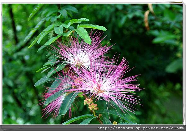 DSC_7882.jpg DSC_7882.jpg