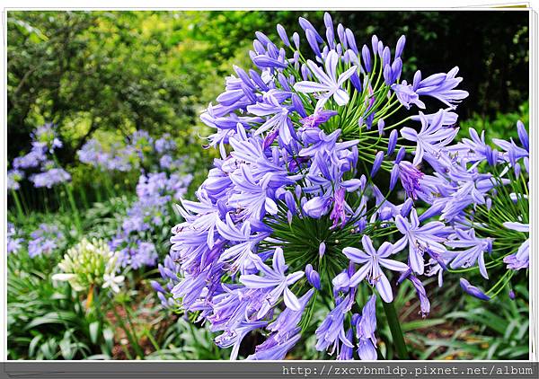 DSC_7885.jpg DSC_7885.jpg