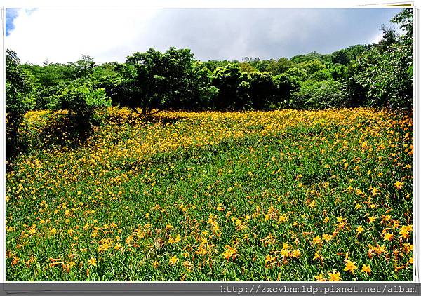 DSC_7892.jpg DSC_7892.jpg