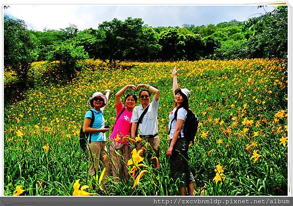 DSC_7895.jpg DSC_7895.jpg