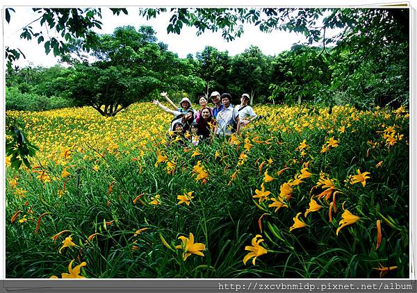 DSC_7905.jpg DSC_7905.jpg