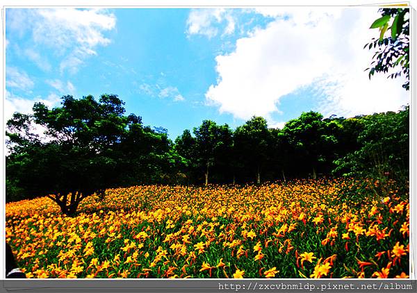 DSC_7910.jpg DSC_7910.jpg