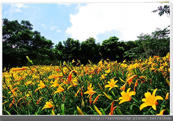 DSC_7911.jpg DSC_7911.jpg