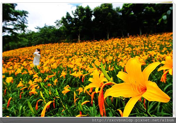 DSC_7914.jpg DSC_7914.jpg