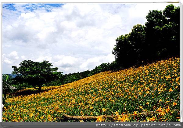 DSC_7919.jpg DSC_7919.jpg