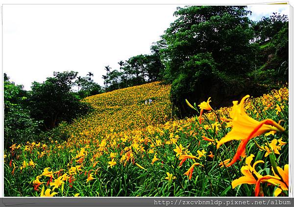 DSC_7939.jpg DSC_7939.jpg