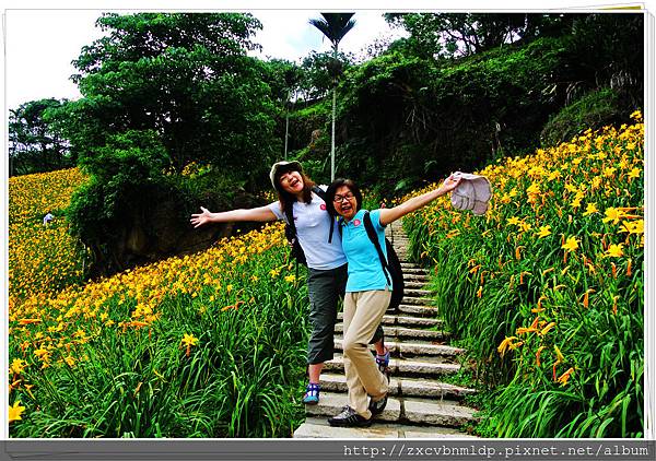 DSC_7942.jpg DSC_7942.jpg