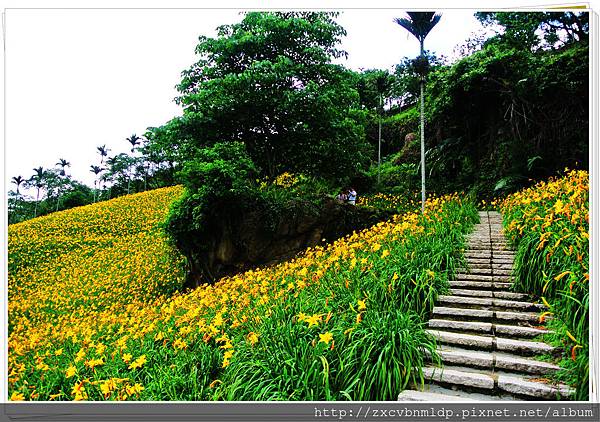 DSC_7945.jpg DSC_7945.jpg