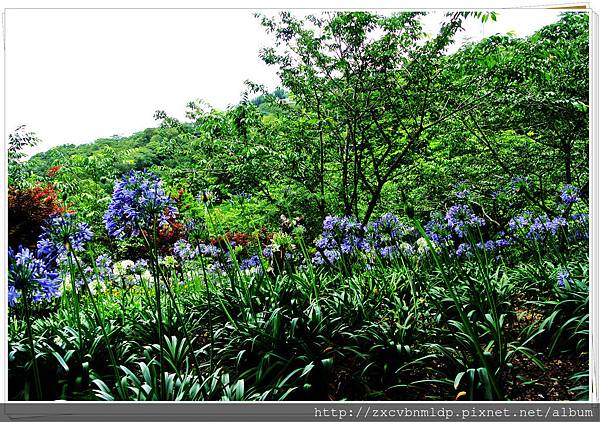 DSC_7950.jpg DSC_7950.jpg