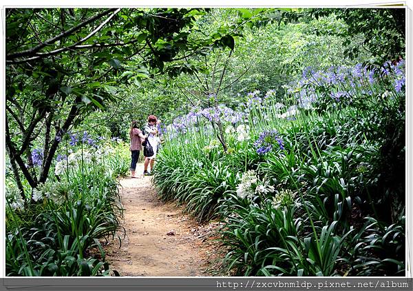 DSC_7952.jpg DSC_7952.jpg