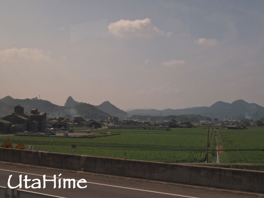 1012-202.jpg 1012-202.jpg