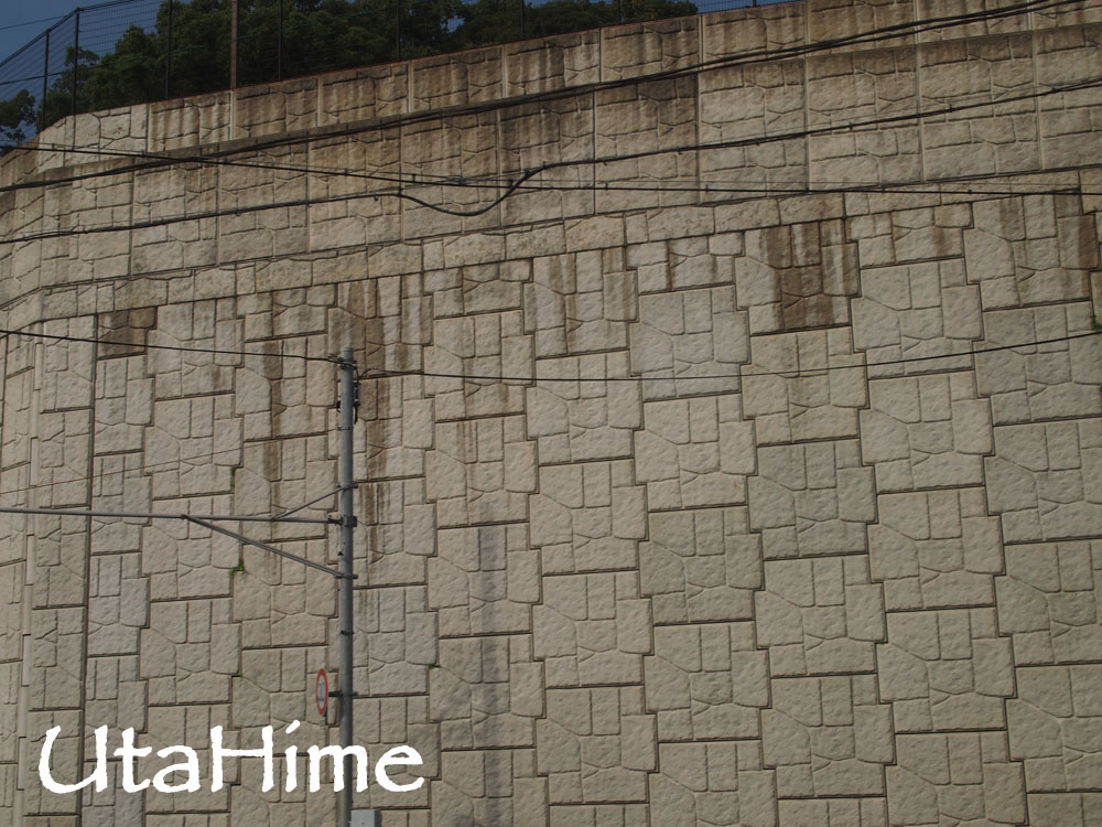 1012-207.jpg 1012-207.jpg